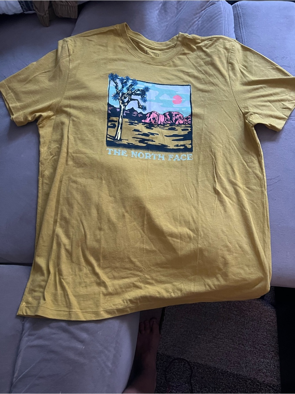 The North Face Men’s Mustard Yellow Desert Graphic Tee